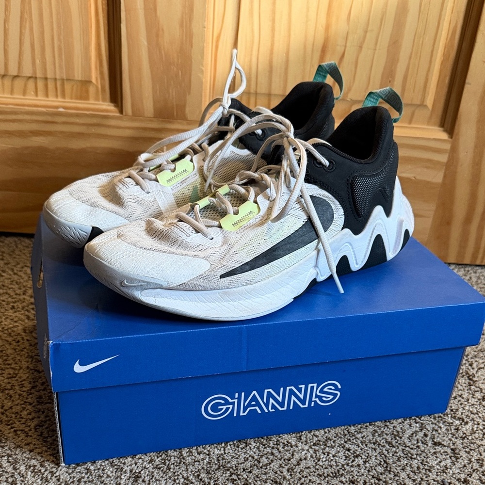 Nike Giannis Immortality 2 basketball shoes